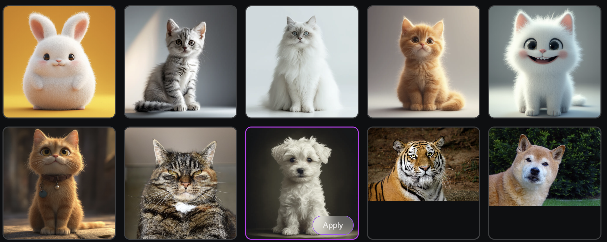 Talking Animals